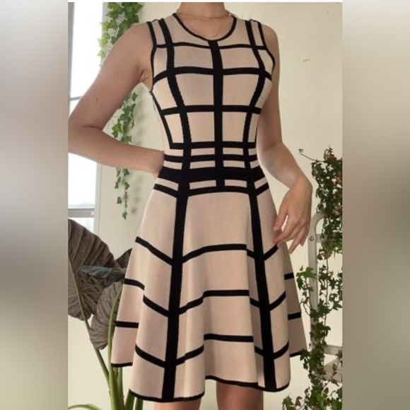 Torn by Ronny Kobo Dresses & Skirts - Torn by Ronny Kobo Black and Cream Mini Dress